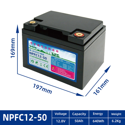 OEM ODM LiFePO4 lithium battery RV battery 12V 24V 100Ah 150Ah 200Ah lithium battery packs