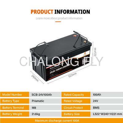 24V 100Ah Lithium Iron Phosphate Battery Pack with BMS for E-Scooter RV Marine & Solar Power System