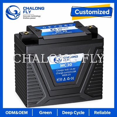 12.8V 5Ah LiFePO4 Motorcycle Starter Battery 300A for 8–14Ah Lead-Acid Replacement