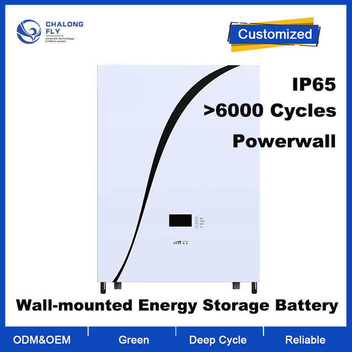 Wall Mounted 48V 200Ah LiFePO4 Lithium Battery with 6000 Cycle Life for Solar Energy Storage