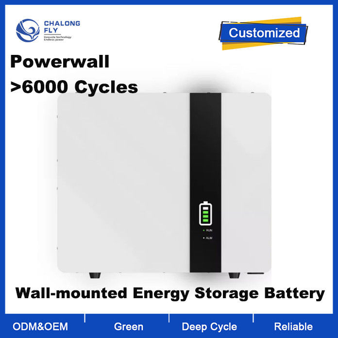 51.2V 10Kwh LiFePO4 Lithium Battery Pack with 6000 Cycle Life Wall Mounted Power Bank for Home Energy Storage