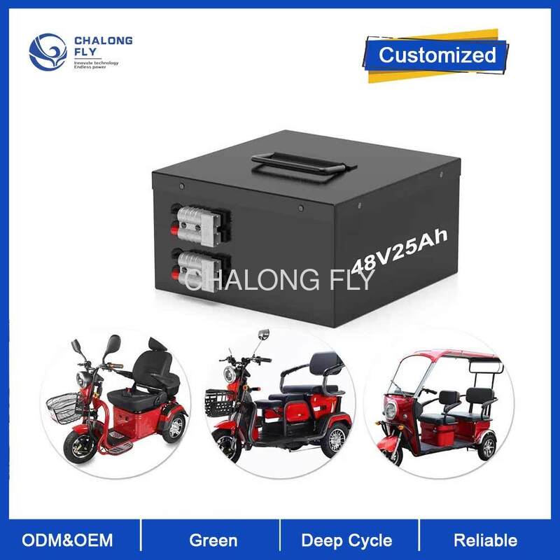 48V25Ah IP67 Waterproof Electric Golf Cart Battery with 12 Months Warranty and Long-Lasting Power