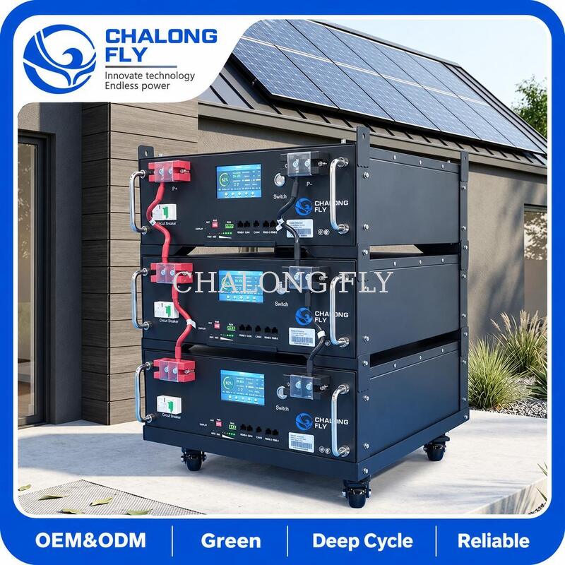 51.2V 5kWh 10kWh Rack Mounted LiFePO4 Battery for Residential Solar Energy Storage