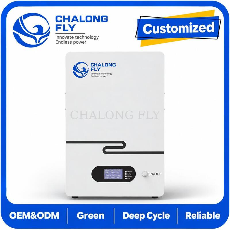 48V 51.2V 5kWh 10kWh LiFePO4 Residential Energy Storage Battery for Home Solar Battery Systems