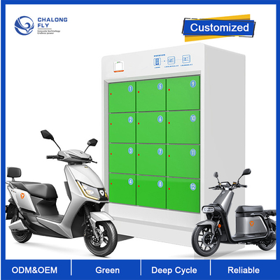OEM ODM LiFePO4 لیتیوم باتری 5 محفظه، ایستگاه تعویض باتری سفارشی