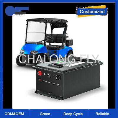 48V 100Ah Golf Cart Lithium Battery with Bluetooth and 4000 Cycles LiFePO4 Battery for Electric Golf Carts