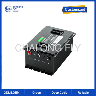 باتری 48 ولت 100 آمپر LiFePO4 با 4000 چرخه و 200 آمپر BMS برای تناسب جهانی