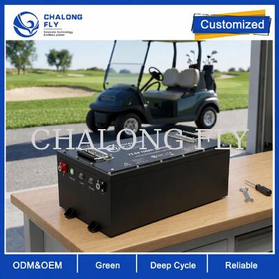 OEM ODM LiFePO4 باتری گلف کارت با ولتاژ سفارشی BMS سفارشی و CAN ارتباطات