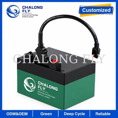 12.8V 18Ah 24Ah LiFePO4 باتری گلف Trolley با کانکتور T-Bar
