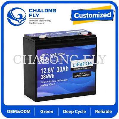 12.8V 30Ah LiFePO4 باتری چرخه عمیق با 384Wh انرژی و BMS هوشمند برای سیستم های 12V